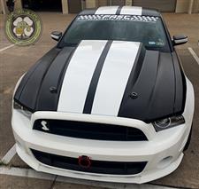 White_Mustang_1.jpg