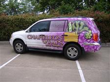 chameleon8.jpg