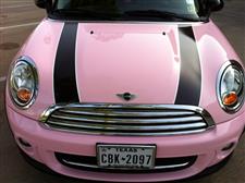 pinkmini10sm.jpg