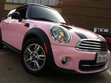 pinkmini2sm.jpg