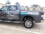 BluFrog3sm.jpg
