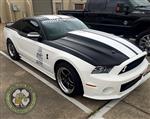 White_Mustang_2.jpg